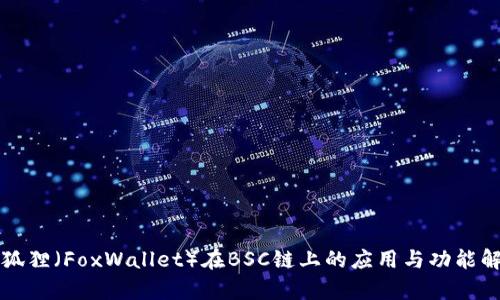 小狐狸（FoxWallet）在BSC链上的应用与功能解析