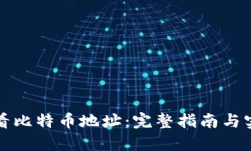 如何查看比特币地址：完整指南与实用技巧